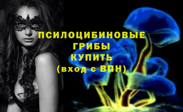 герыч Арсеньев