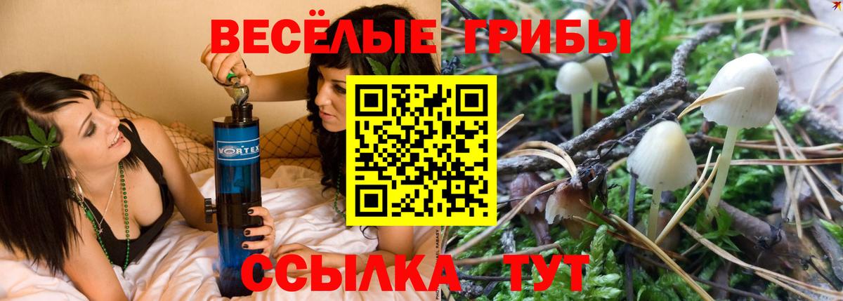 Темрюк  Галлюциногенные грибы GOLDEN TEACHER  Вход с VPN  что такое   Галлюциногенные грибы Psilocybe 