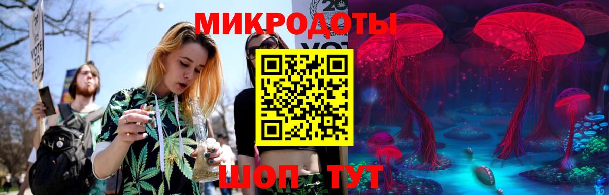 Псилоцибиновые грибы Psilocybine cubensis Темрюк