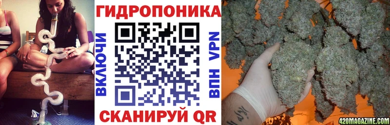 kraken tor  Темрюк  Шишки марихуана планчик 